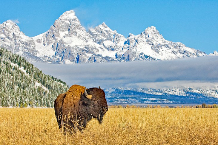 Wyoming