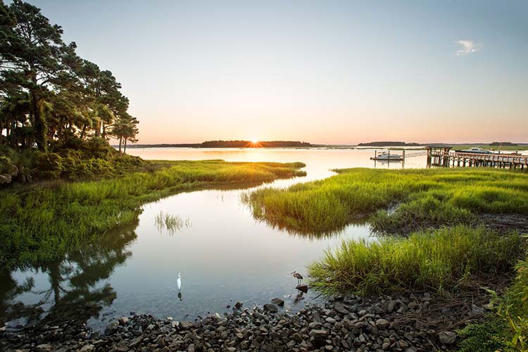 South Carolina Lowcountry