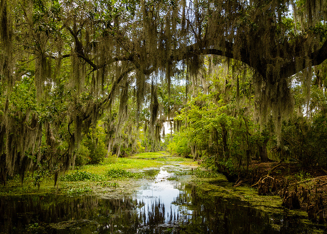 Louisiana