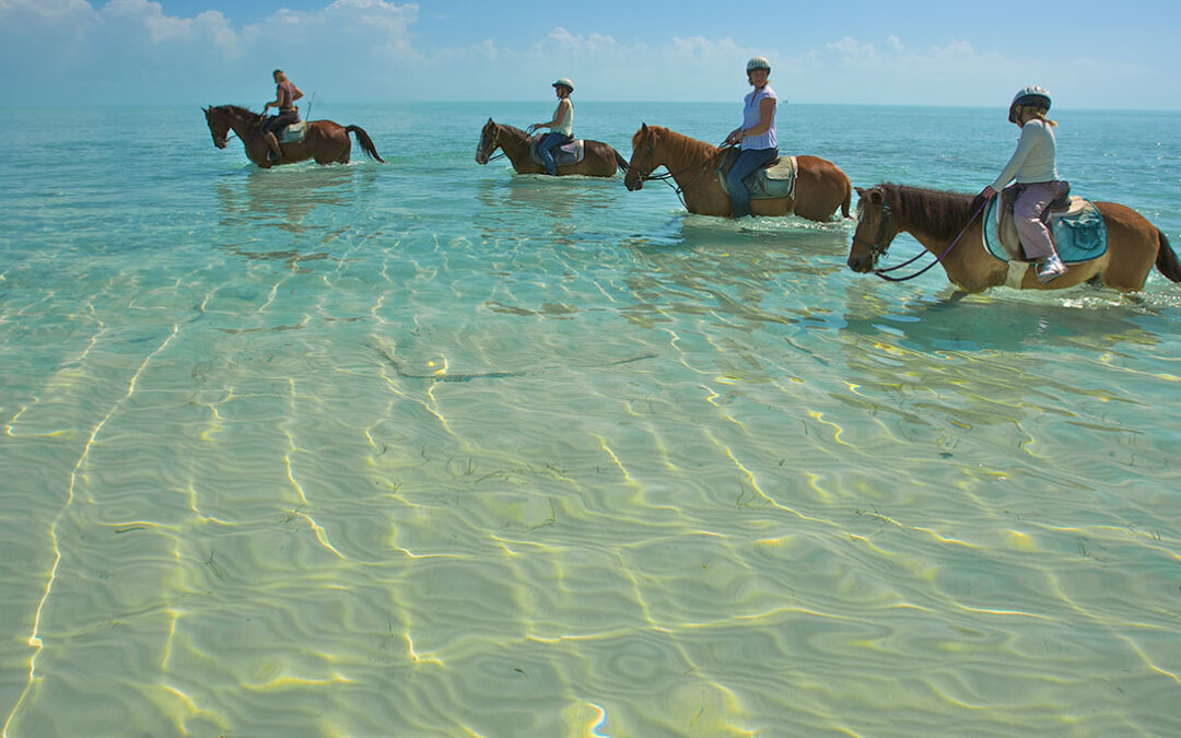 Turks and Caicos Islands