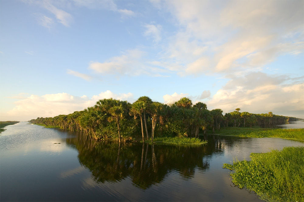 Indian River Country, FL