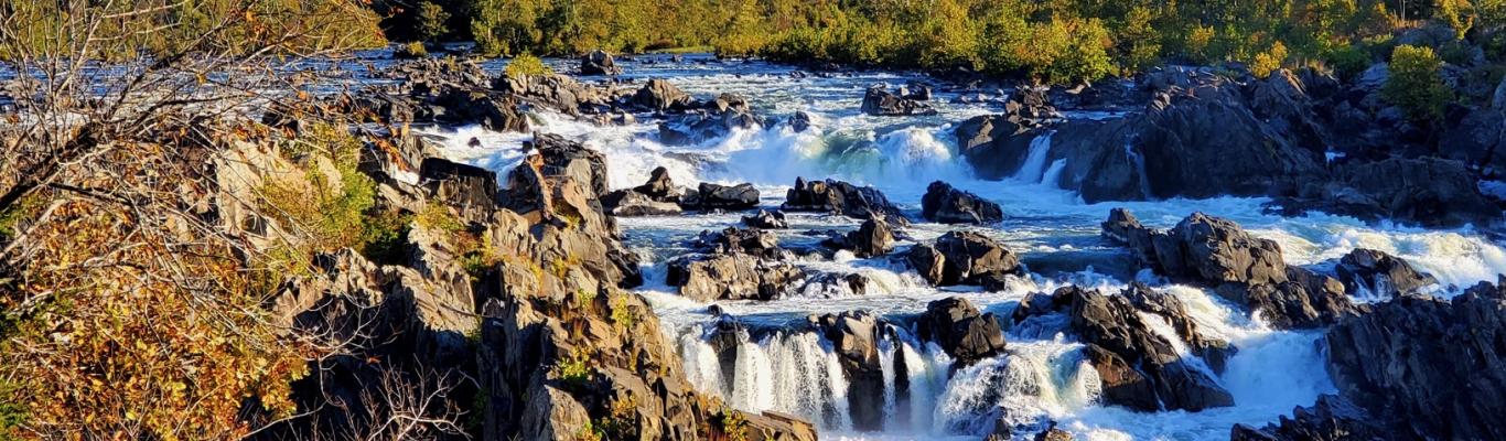 Rapids at Great Falls Park